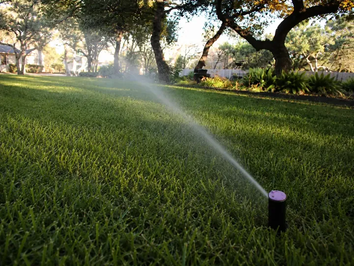 Aerobic septic sprinkler head with a purple cap spraying treated water low across a lawn, aerobic septic system repair